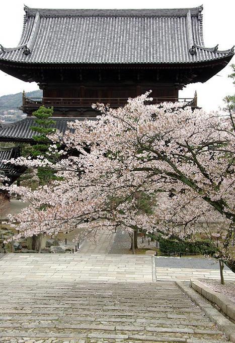 Nanako House Villa Kyoto Luaran gambar